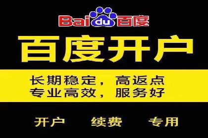 百度竞价SEM的优化策略：从案例看效果提升
